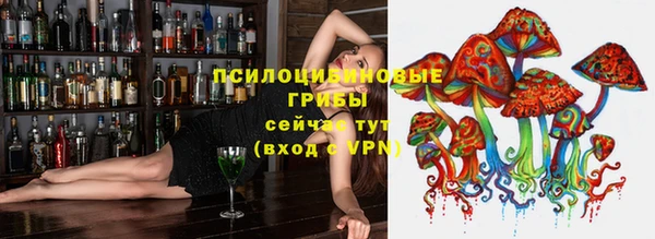 мет Кулебаки