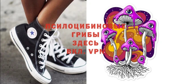 а пвп мука Кукмор