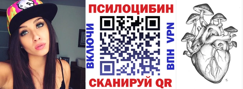 Галлюциногенные грибы Psilocybe  Купить закладки  Богданович 